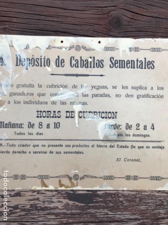 Antig&uuml;edades: Militar, caballeria, - Foto 2