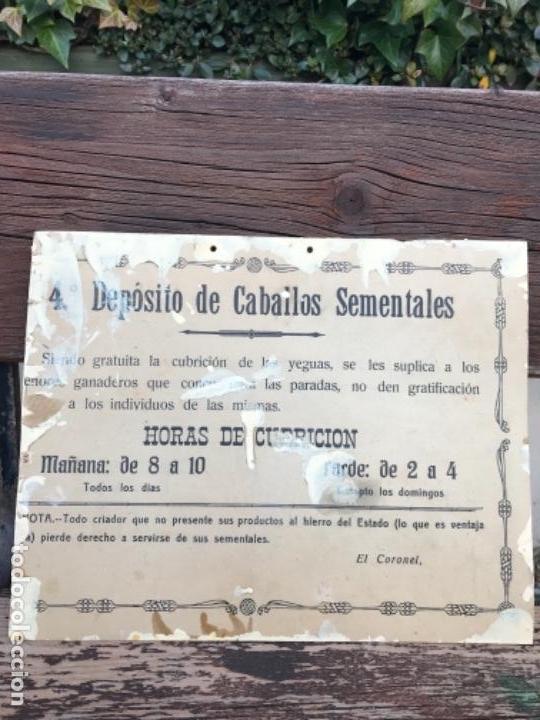 Antig&uuml;edades: Militar, caballeria, - Foto 1