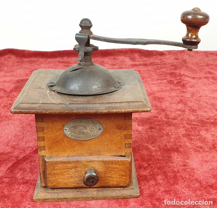 Antiguidades: MOLINILLO DE CAF&Eacute;. CALITE GARANTIE. FRANCIA. MADERA DE HAYA Y METAL. SIGLO XIX-XX