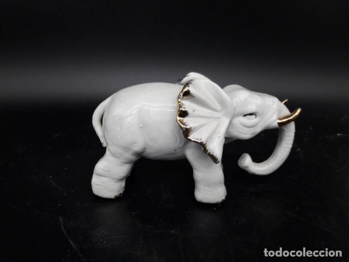 Antig&uuml;edades: Elefante - Foto 1
