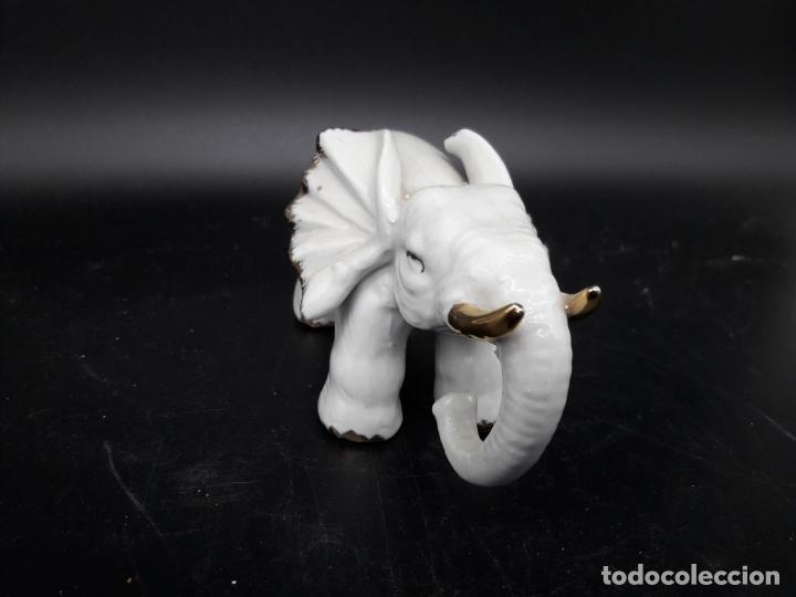 Antig&uuml;edades: Elefante - Foto 2