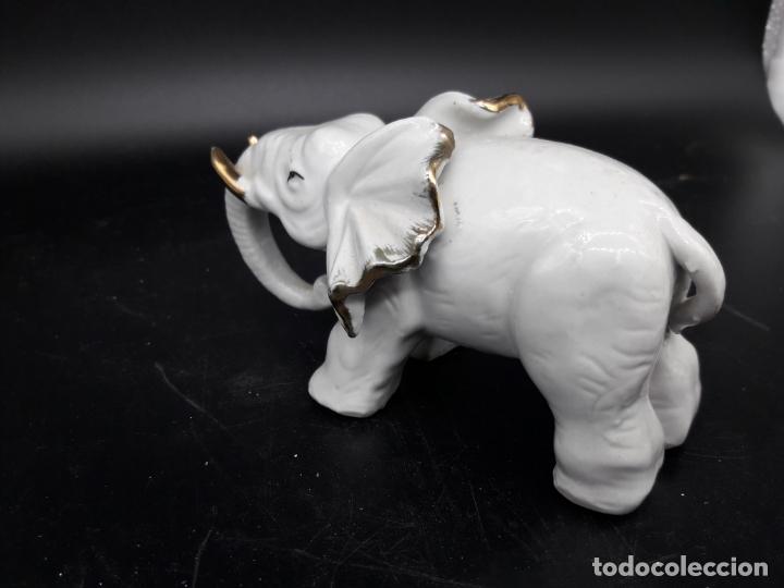 Antig&uuml;edades: Elefante - Foto 3