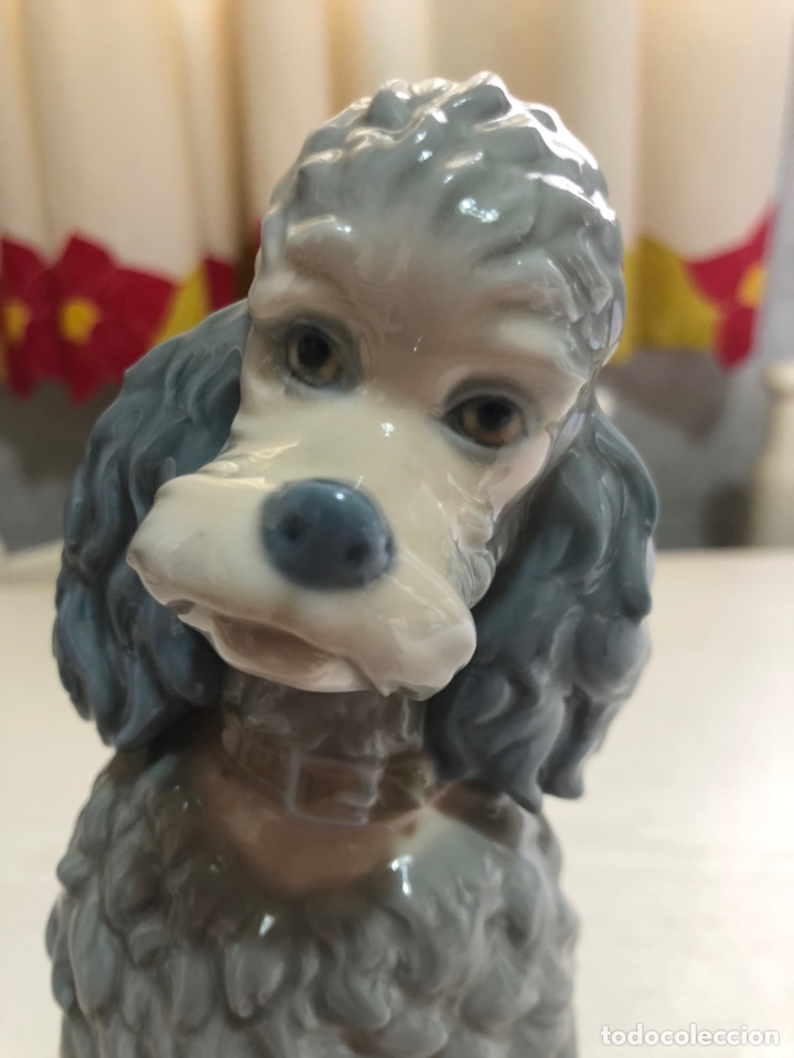 Antig&uuml;edades: REF: 01000325.13 &ldquo;CANICHE&rdquo; LLADR&Oacute; - Foto 14