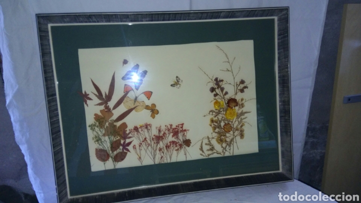 Antig&uuml;edades: Cuadro de flores secas - Foto 2