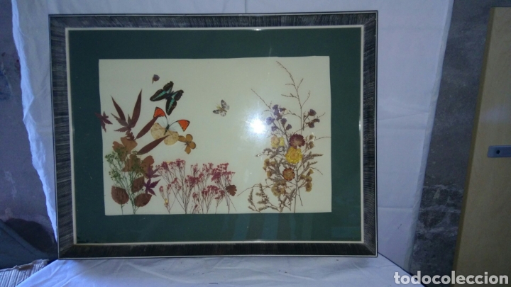 Antig&uuml;edades: Cuadro de flores secas - Foto 1
