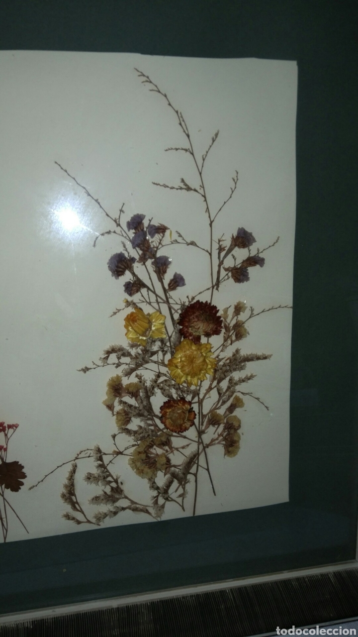 Antig&uuml;edades: Cuadro de flores secas - Foto 4