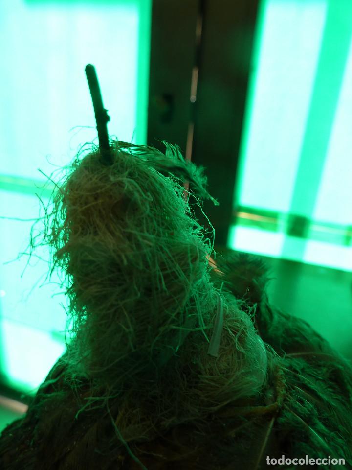 Antig&uuml;edades: AVE DISECADA TAXIDERMIA - Foto 6