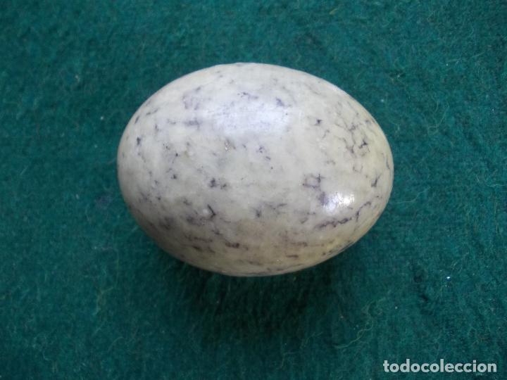 Antiquit&eacute;s: Huevo de marmol