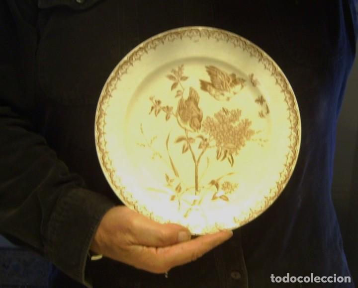 Antig&uuml;edades: PLATO  CER&Aacute;MICA  XIX - Foto 7