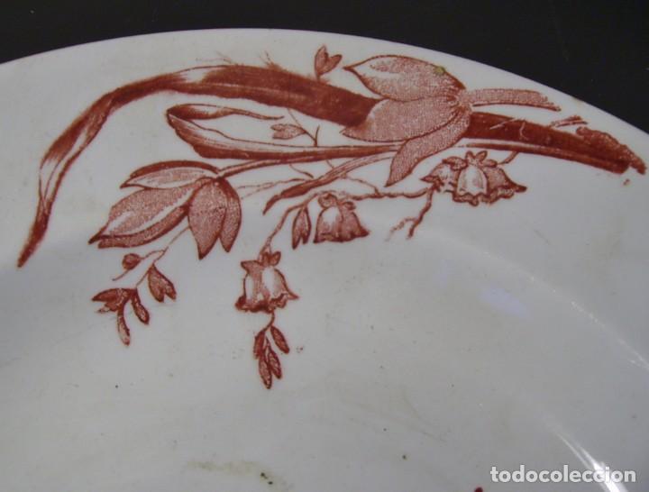 Antig&uuml;edades: PLATO  CER&Aacute;MICA  XIX - Foto 3