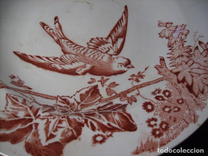 Antig&uuml;edades: PLATO  CER&Aacute;MICA  XIX - Foto 4
