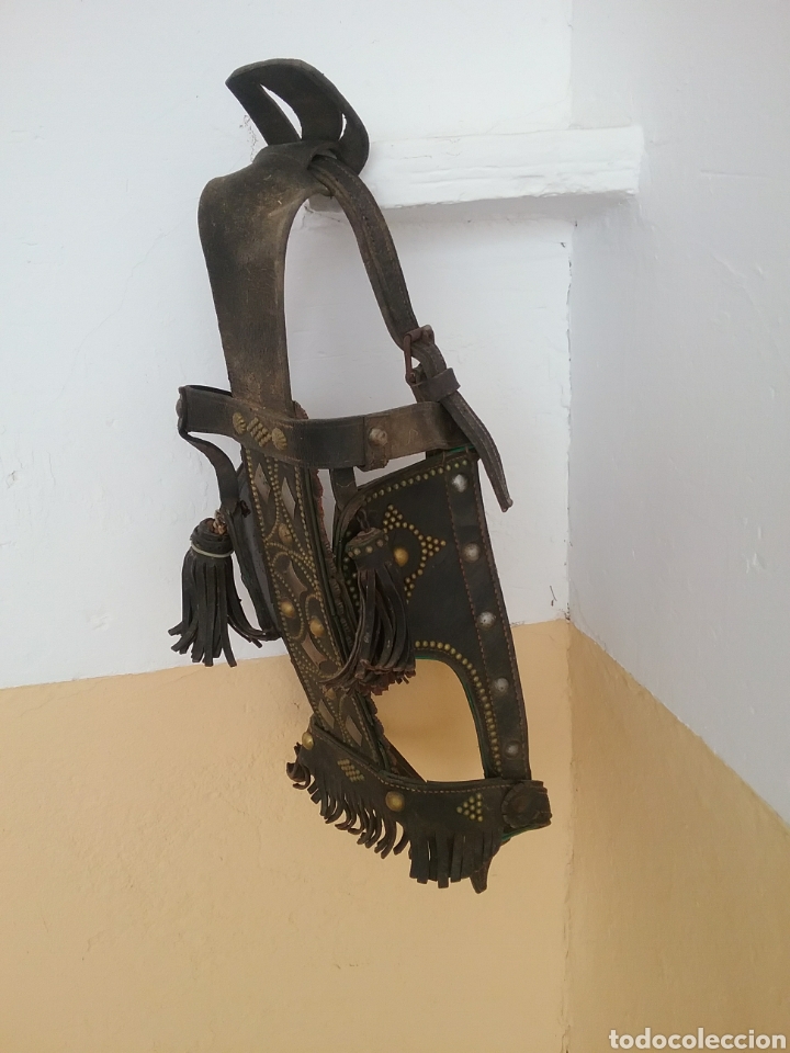 Antig&uuml;edades: Cabezal de caballeria, Quitap&oacute;n. - Foto 2