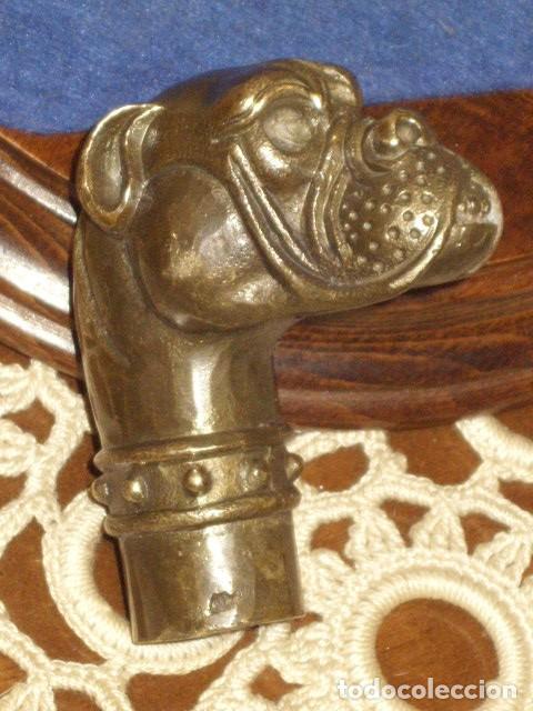 Antig&uuml;edades: BASTON,MANGO PERRO DOGO,EN BRONCE DE BRONCE DE FUNDICION. - Foto 1