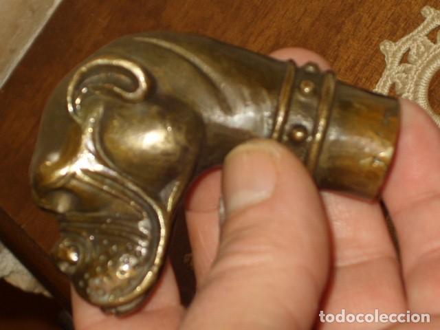 Antig&uuml;edades: BASTON,MANGO PERRO DOGO,EN BRONCE DE BRONCE DE FUNDICION. - Foto 6