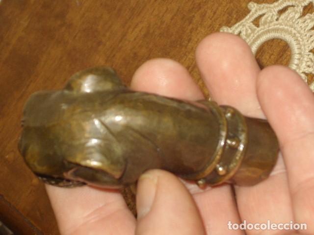 Antig&uuml;edades: BASTON,MANGO PERRO DOGO,EN BRONCE DE BRONCE DE FUNDICION. - Foto 8