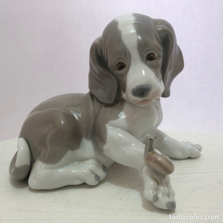 Antig&uuml;edades: REF: 01001139 &ldquo;PERRO CARACOL GRANDE&rdquo; LLADR&Oacute; - Foto 11
