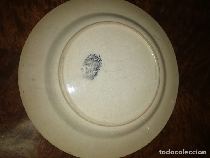 Antig&uuml;edades: Ceramica y cartagena - Foto 14