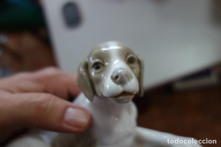 Antig&uuml;edades: Perrito de LLADRO . - Foto 5