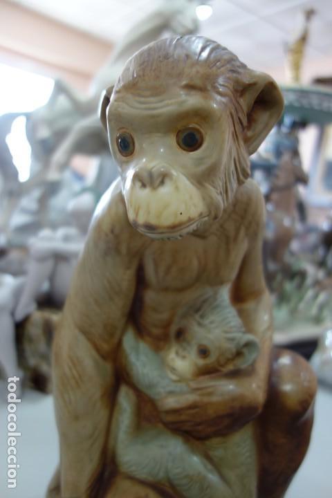 Antig&uuml;edades: Orangutan y su cr&iacute;a de LLADRO. - Foto 2