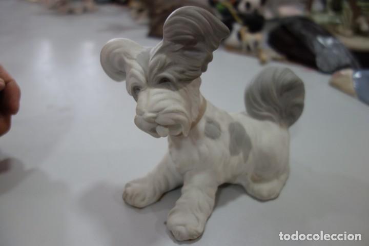 Antig&uuml;edades: PERRITO TERRIER de LLADR&Oacute; 1970--1985 - Foto 1