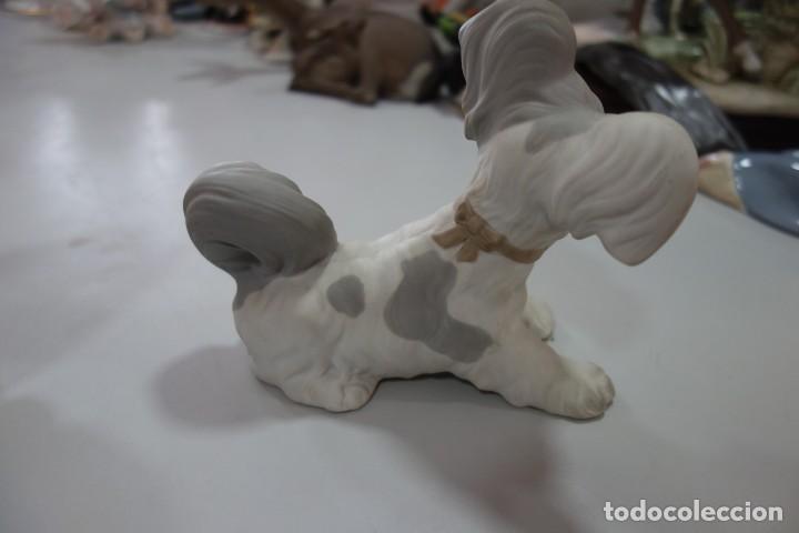 Antig&uuml;edades: PERRITO TERRIER de LLADR&Oacute; 1970--1985 - Foto 3