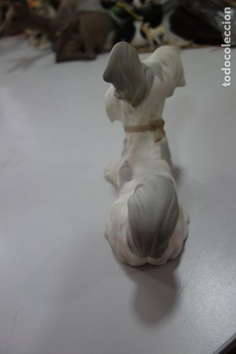 Antig&uuml;edades: PERRITO TERRIER de LLADR&Oacute; 1970--1985 - Foto 4
