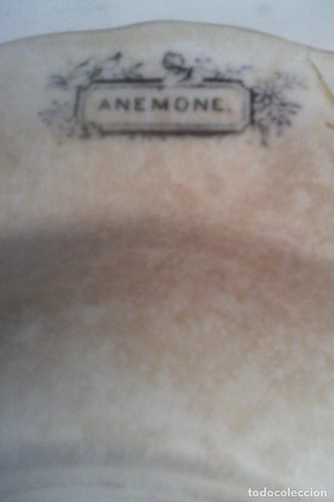 Antig&uuml;edades: PLATO - ANEMONE . - Foto 1