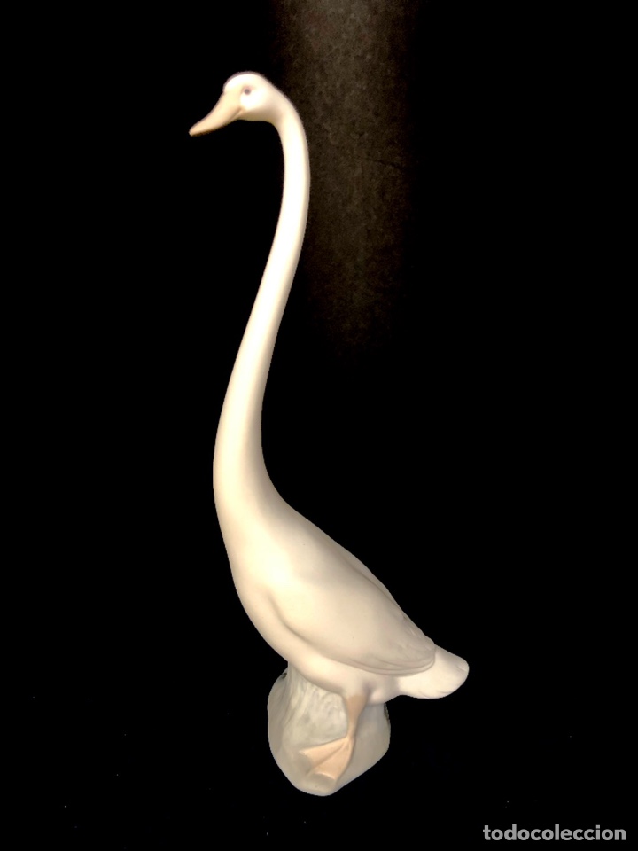 Antig&uuml;edades: REF: PP122B &ldquo;CISNE CUELLO ESTIRADO&rdquo; LLADR&Oacute; - Foto 2