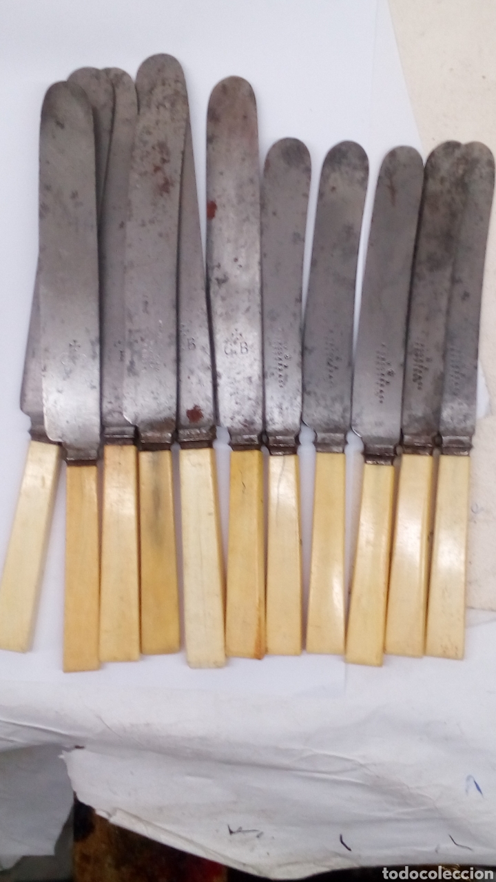 Antiquit&eacute;s: 11cuchillos con mango de hueso Crookes&Co