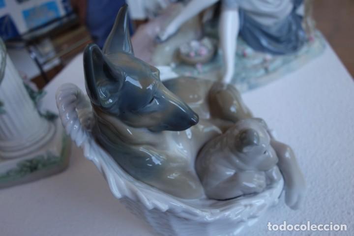 Antig&uuml;edades: Mi cachorro. de LLADR&Oacute; perfecta - Foto 5