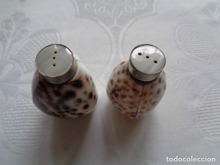 Antiquit&eacute;s: ANTIGUO JUEGO DE SAL Y PIMIENTA REALIZADO EN CONCHA DE ANIMAL MARINO. 6 Cm.