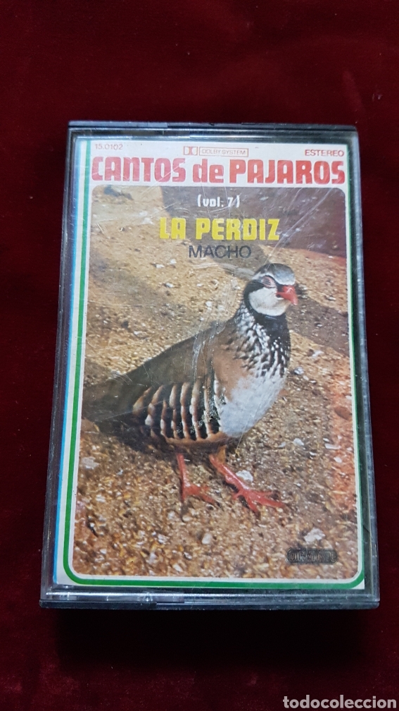 Antig&uuml;edades: Cinta canto pajaros Perdiz macho - Foto 1