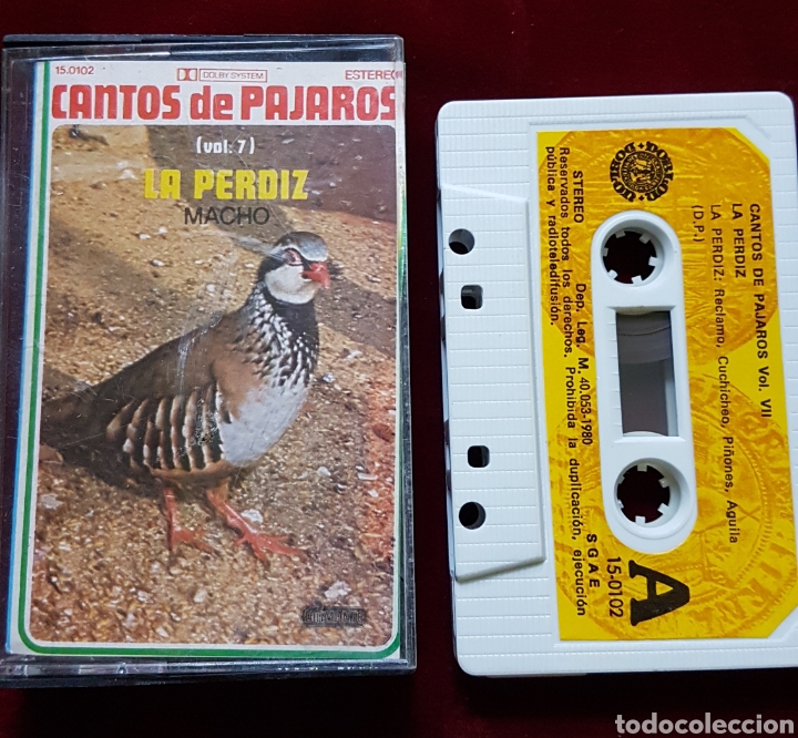 Antig&uuml;edades: Cinta canto pajaros Perdiz macho - Foto 2