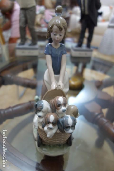 Antig&uuml;edades: Paseando mis perritos de LLADR&Oacute;. - Foto 1