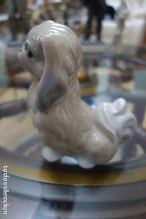 Antig&uuml;edades: Perrito de LLADRO DE LOS A&Ntilde;OS 70 - Foto 2