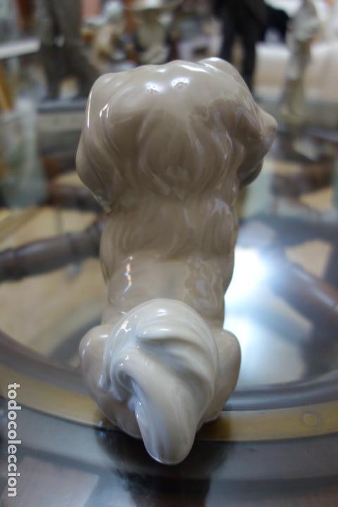 Antig&uuml;edades: Perrito de LLADRO DE LOS A&Ntilde;OS 70 - Foto 3