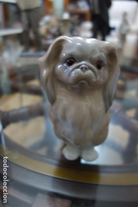 Antig&uuml;edades: Perrito de LLADRO DE LOS A&Ntilde;OS 70 - Foto 1