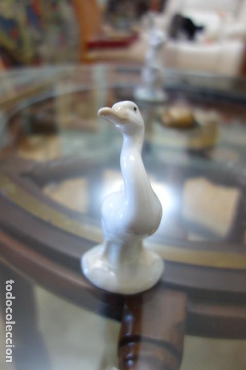 Antig&uuml;edades: Oca de LLADR&Oacute; - Foto 2