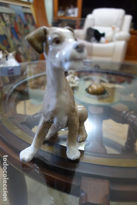 Antig&uuml;edades: Perrito sentado de LLADR&Oacute; - Foto 2
