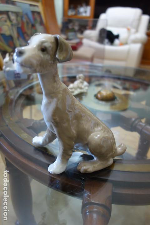 Antig&uuml;edades: Perrito sentado de LLADR&Oacute; - Foto 3