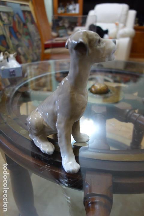 Antig&uuml;edades: Perrito sentado de LLADR&Oacute; - Foto 1