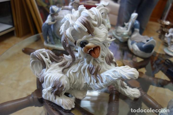 Antig&uuml;edades: Perro lanas de ALGORA. Perfecto estado - Foto 1