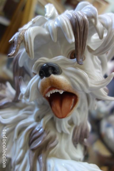 Antig&uuml;edades: Perro lanas de ALGORA. Perfecto estado - Foto 2