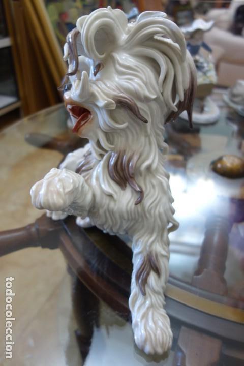 Antig&uuml;edades: Perro lanas de ALGORA. Perfecto estado - Foto 3