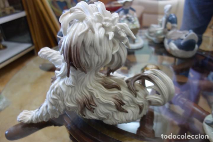 Antig&uuml;edades: Perro lanas de ALGORA. Perfecto estado - Foto 4