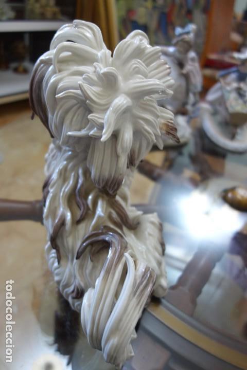 Antig&uuml;edades: Perro lanas de ALGORA. Perfecto estado - Foto 5