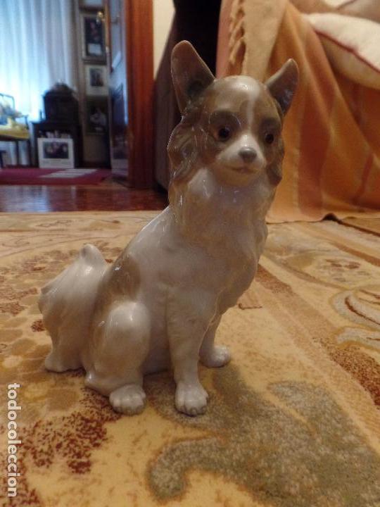 Antig&uuml;edades: Perro Nao Lladr&oacute; - Foto 2