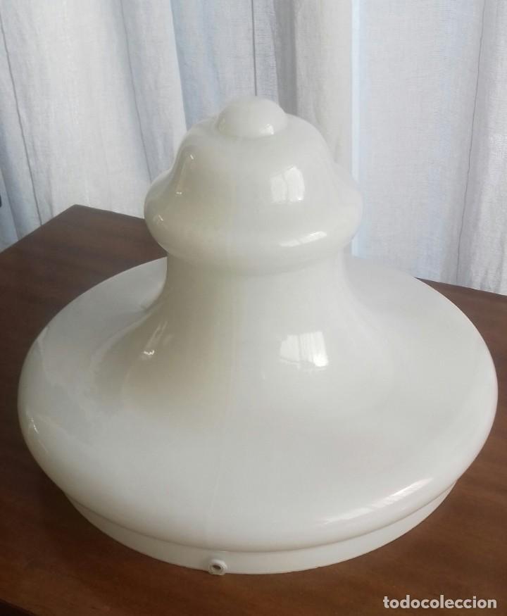 Antig&uuml;edades: Tulipa de opalina blanca - Foto 1