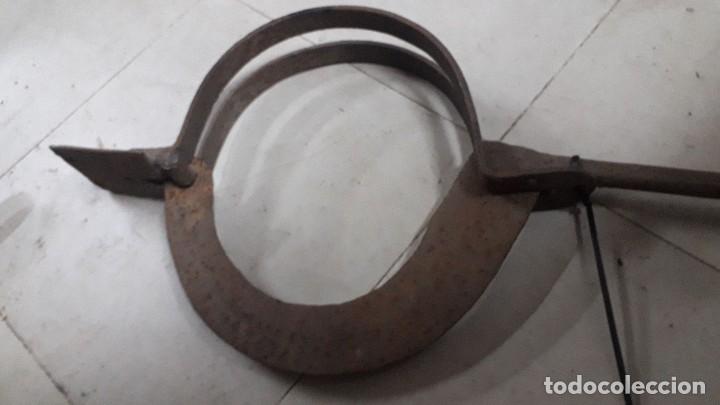 Antig&uuml;edades: Herramienta de hierro forjado para el campo - Foto 3