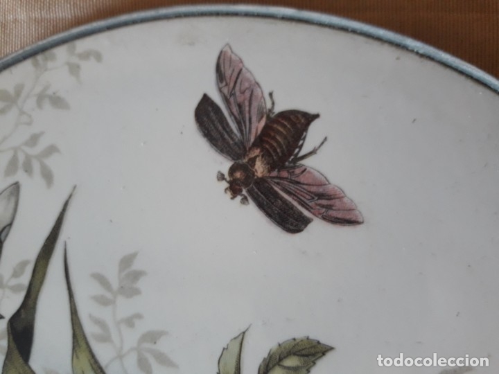 Antig&uuml;edades: Bandeja maiolica - Foto 3
